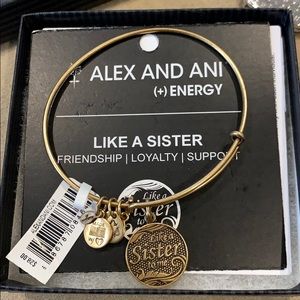 Alex and Ani Like A Sister Bracelet